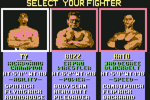 Pit-Fighter abandonware