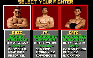 Pit-Fighter 1