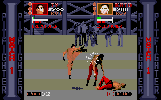 Pit-Fighter abandonware