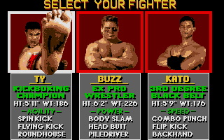 Pit-Fighter 6