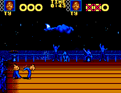 Pit-Fighter abandonware