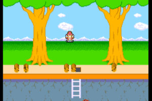 Pitfall II: Lost Caverns 4