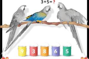 Play & Learn: Writing and Calculating 8