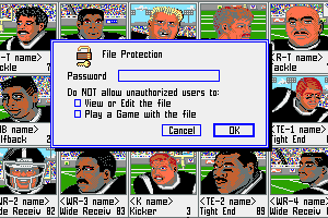 Playmaker Football 13