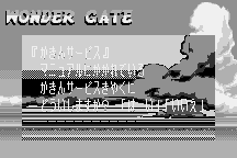 Pocket Fighter 24