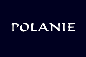 Polanie 6