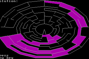 PolyMaze 9