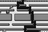 Popo Team 7