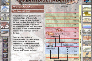 Prehistoric Animals 3