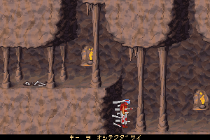 Prince of Persia 2: The Shadow & The Flame 6