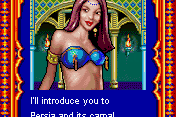 Prince of Persia: Harem Adventures 5