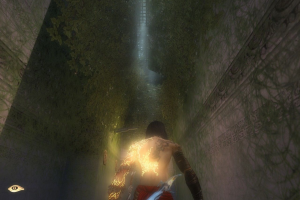 Prince of Persia: The Two Thrones 49