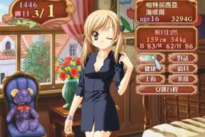 Princess Maker 4 Windows