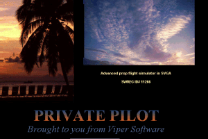 Private Pilot 0