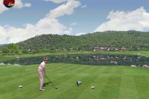 Pro 18 World Tour Golf 13
