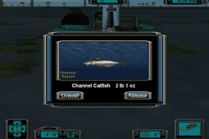 Pro Bass Fishing 2003 5