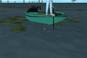 Pro Bass Fishing 2003 6