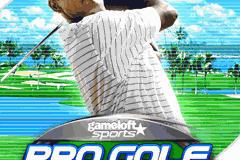 Pro Golf 2007 3D feat. Vijay Singh 0