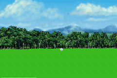 Pro Golf 2007 3D feat. Vijay Singh 9