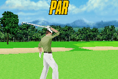 Pro Golf 2007 3D feat. Vijay Singh 15