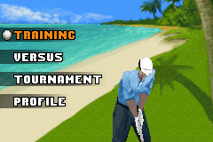 Pro Golf 2007 3D feat. Vijay Singh 20
