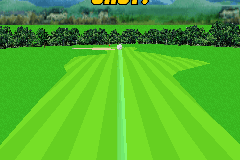 Pro Golf 2007 3D feat. Vijay Singh 21