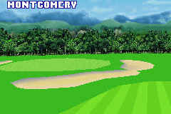 Pro Golf 2007 3D feat. Vijay Singh 3