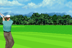 Pro Golf 2007 3D feat. Vijay Singh 4