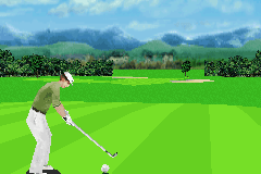 Pro Golf 2007 3D feat. Vijay Singh 7