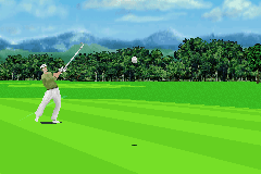 Pro Golf 2007 3D feat. Vijay Singh 8