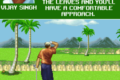 Pro Golf 2007 feat. Vijay Singh 4