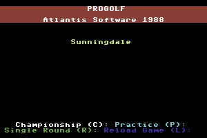 Pro Golf abandonware