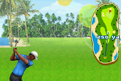Pro Golf: World Tour 2010 10