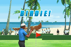 Pro Golf: World Tour 2010 11