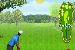 Pro Golf: World Tour 2010 4