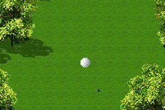Pro Golf: World Tour 2010 5