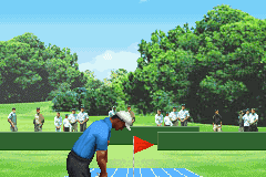 Pro Golf: World Tour 2010 7