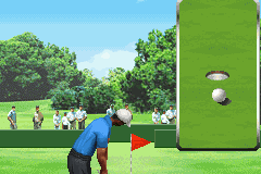 Pro Golf: World Tour 2010 8