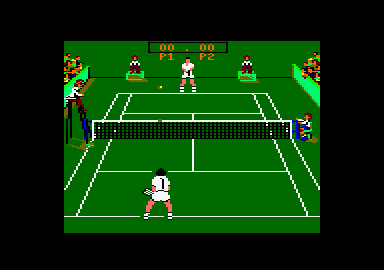 Pro Tennis Tour abandonware