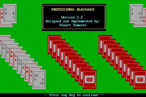 Professional Blackjack 0