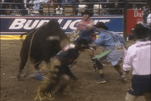 Professional Bull Rider 2 0