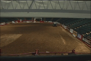 Professional Bull Rider 0