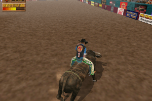 Professional Bull Rider 9
