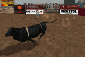 Professional Bull Rider 12