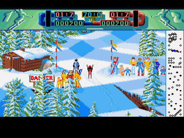 Professional Ski Simulator 1