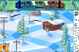 Professional Ski Simulator 4