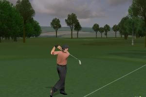 ProStroke Golf: World Tour 2007 1