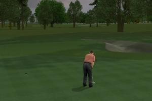 ProStroke Golf: World Tour 2007 0