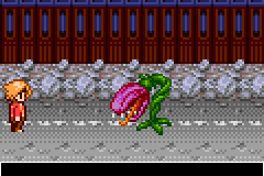 Psychic Fantasy 17