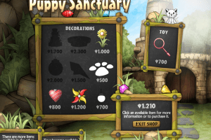 Puppy Sanctuary 17